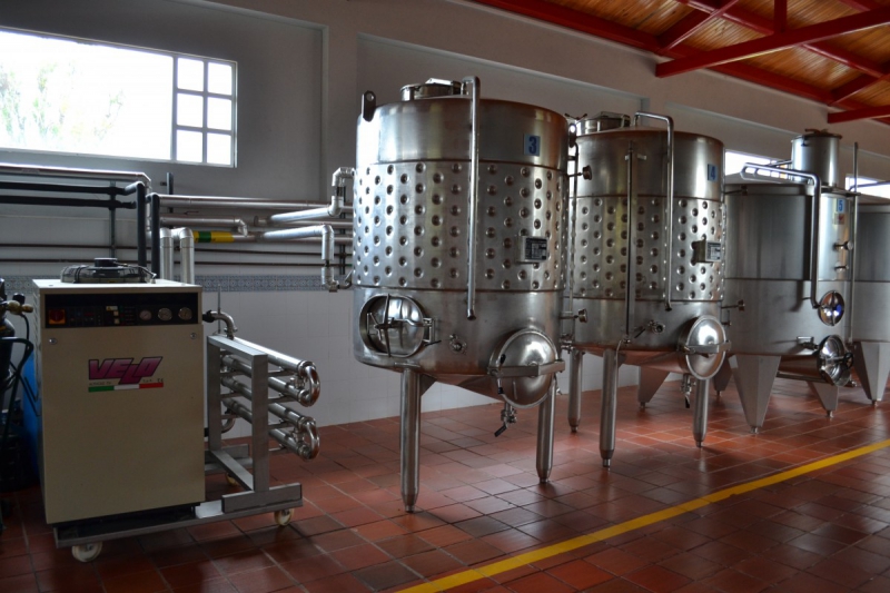 cave-GORBIO-min_wine_production_cantine_winery_drink_alcohol_vine_beverage-902036